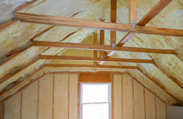 Best Insulation for New Construction  in Succasunna, NJ