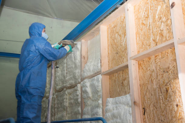 Best Insulation Removal Services  in Succasunna, NJ