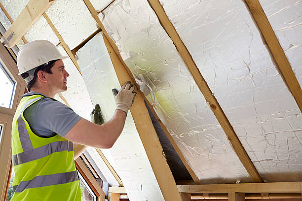 Best Local Insulation Services  in Succasunna, NJ